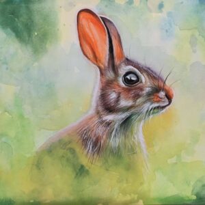 Rabbit