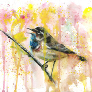 Bird 1