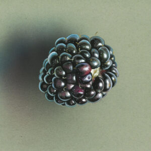 Blackberry