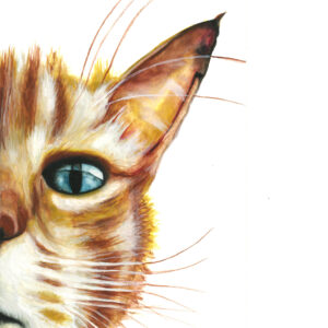 Cat 1