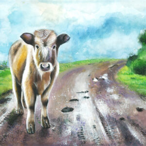 Cow