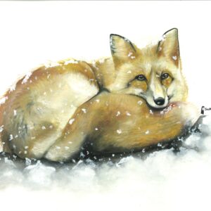 Fox