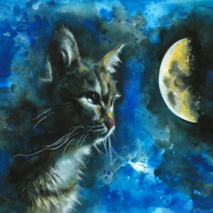 Mooncat
