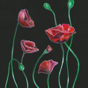 Poppies