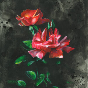 Roses