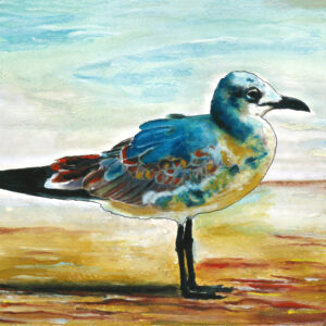 Seagulls 3