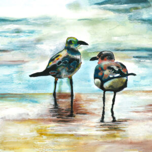 Seagulls 2