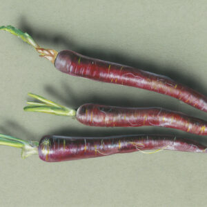 Carrots